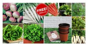 nurserylive free seeds