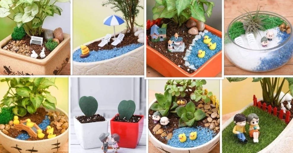 nurserylive-free-miniature-garden