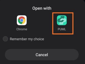 puml-fitness-app-refer-and-earn