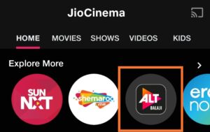 alt-balaji-free-subscription