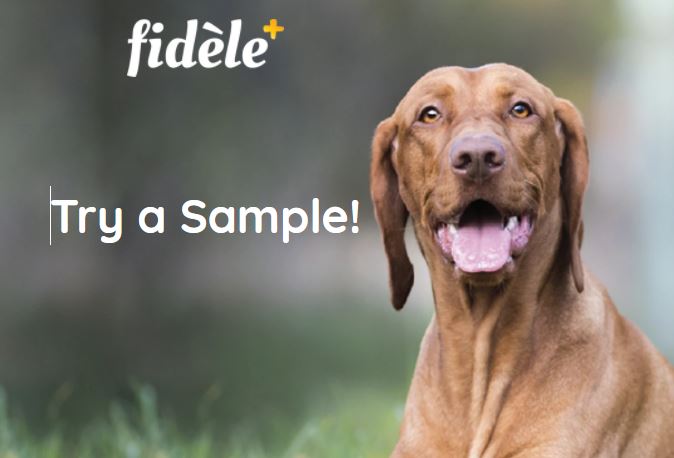 fidele-free-sample