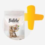 fidele-free-sample