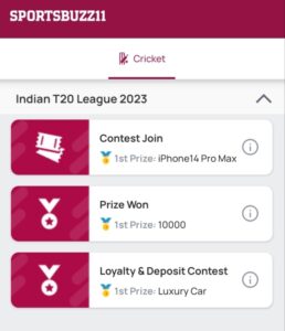 Sportsbuzz11 Fantasy App