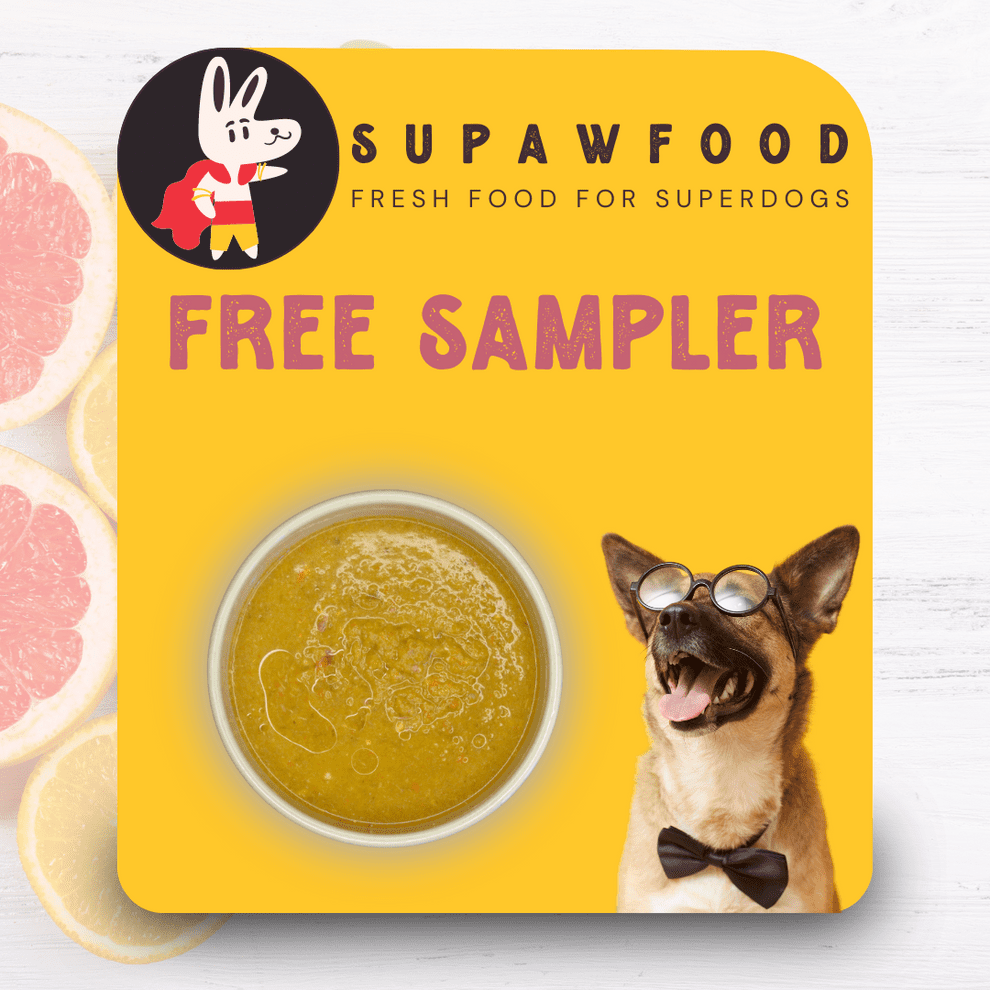 Supawfood Free Dog First Meal Food Sample In India No Shipping