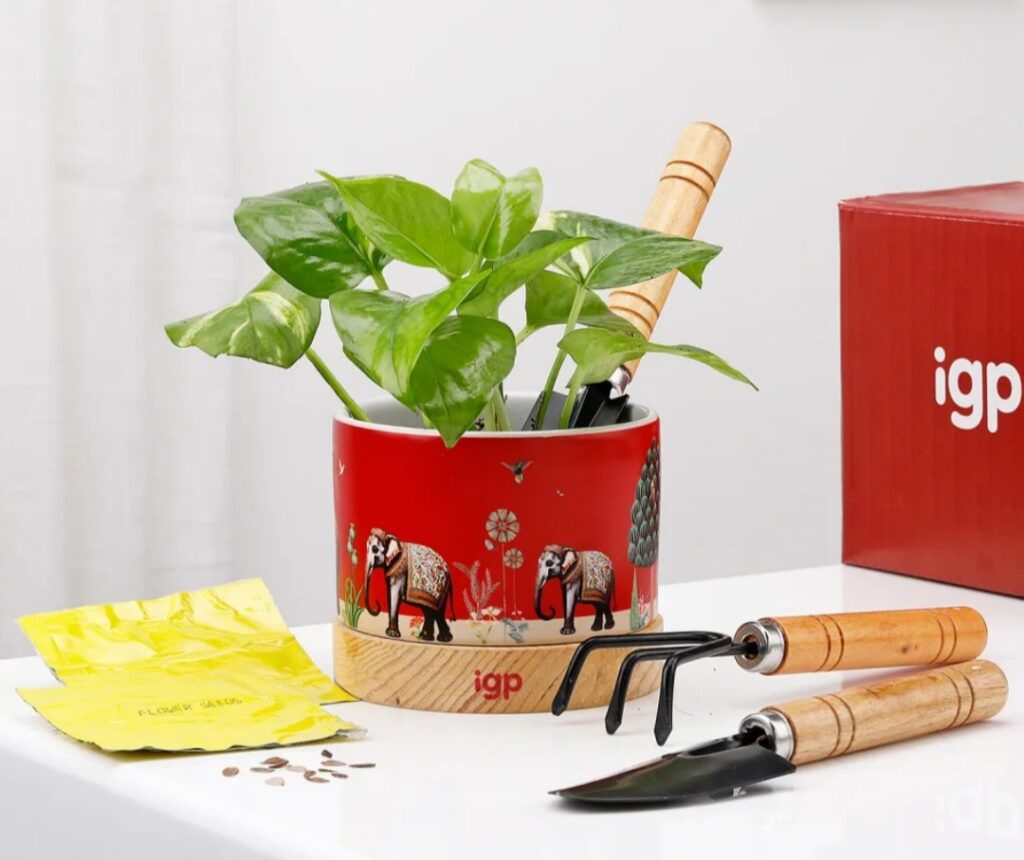 IGP Free Gardening Set