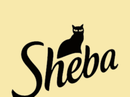 Sheba Cat Food Free