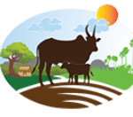 Annam Milk Free Sample