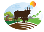 Annam Milk Free Sample