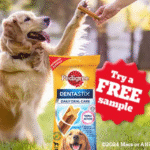 Pedigree DentaStix Free Sample Offer