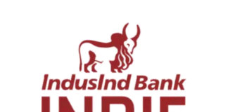 IndusInd Bank Indie Savings Account