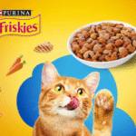 Purina cat Food free sample
