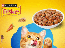 Purina cat Food free sample