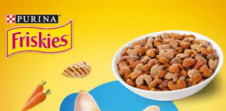 Purina cat Food free sample